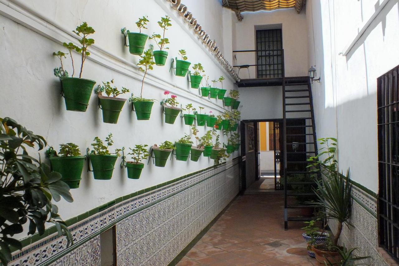 El Patio De Santiago Hotel กอร์โดบา ภายนอก รูปภาพ